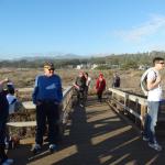 cambria2014_095 (October 25, 2013)